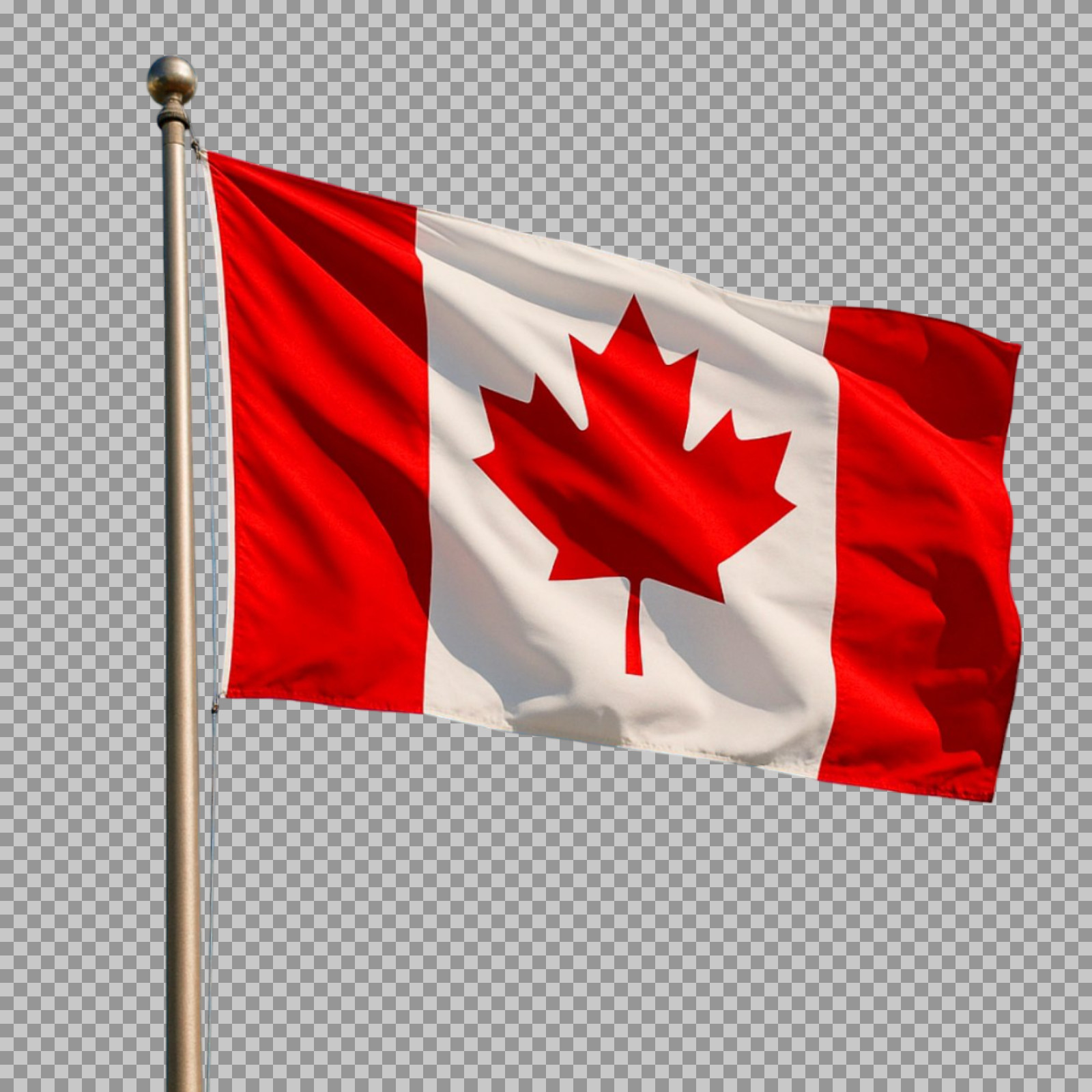 Canada Revenue Agency logo